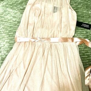 Elegant Light Pink sparkly maxi Dress